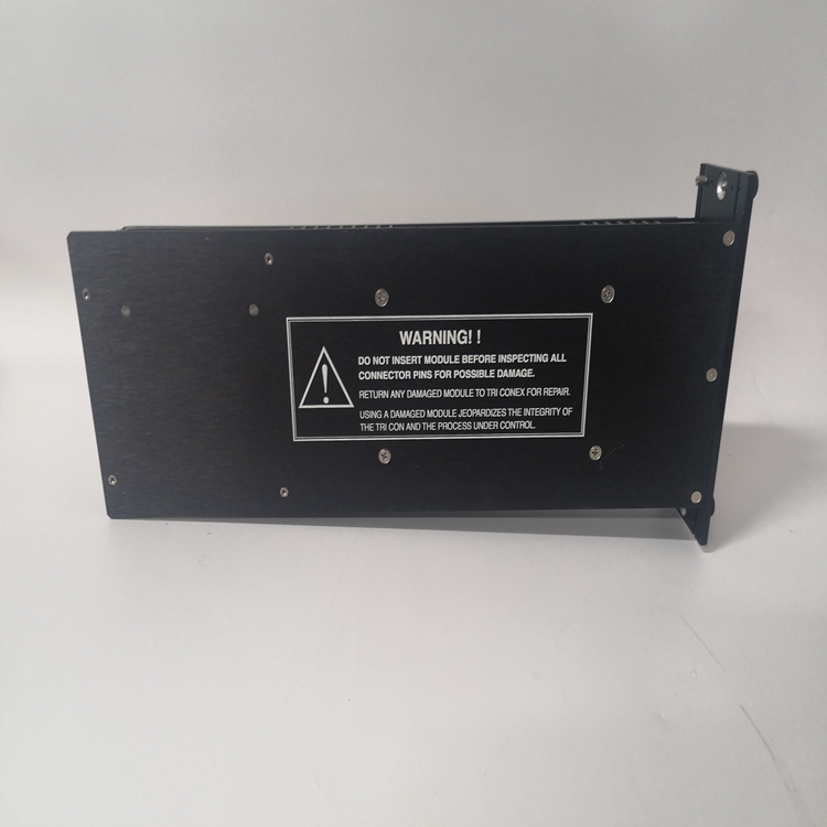 TRICONEX 8312(3).jpg